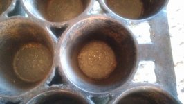 Popover-03.jpg