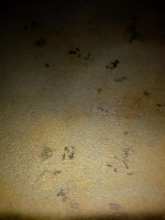 IMG_20180623_181503000.jpg