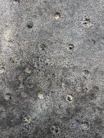 IMG_4089.JPEG